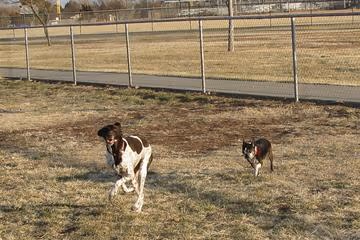 John Stiff Memorial Dog Park photo 2